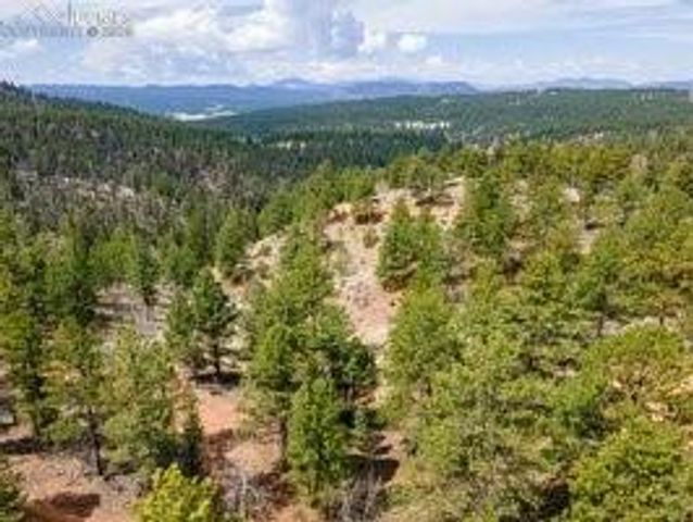 93 Kiowa Creek Trail, Florissant, CO 80816