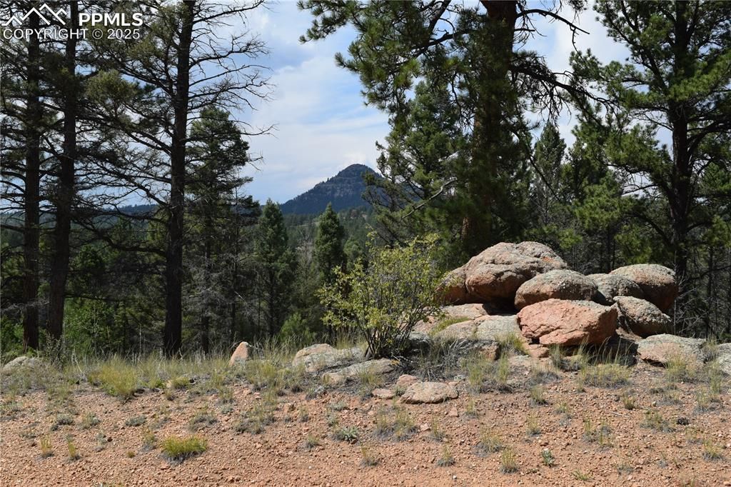 93 Kiowa Creek Trail, Florissant, CO 80816