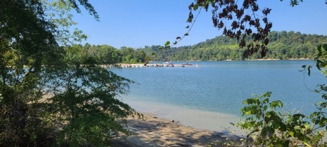 2607 Hardin Bottom River Rd, Clifton, TN 38425