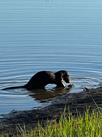 2607 Hardin Bottom River Rd, Clifton, TN 38425