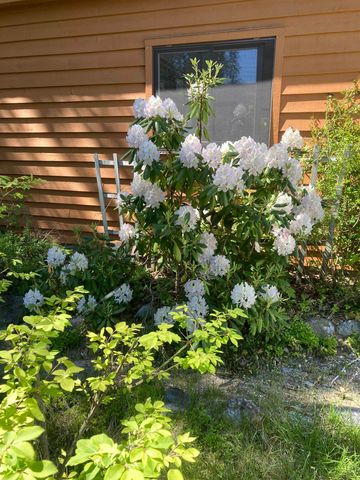 11641 Loon Lane, Long Lake Twp, MI 49685