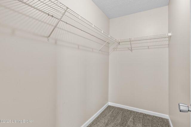 14204 Victory Ridge Dr, Louisville, KY 40245