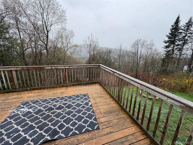 96 White Roe Lake Road, Livingston Manor, NY 12758