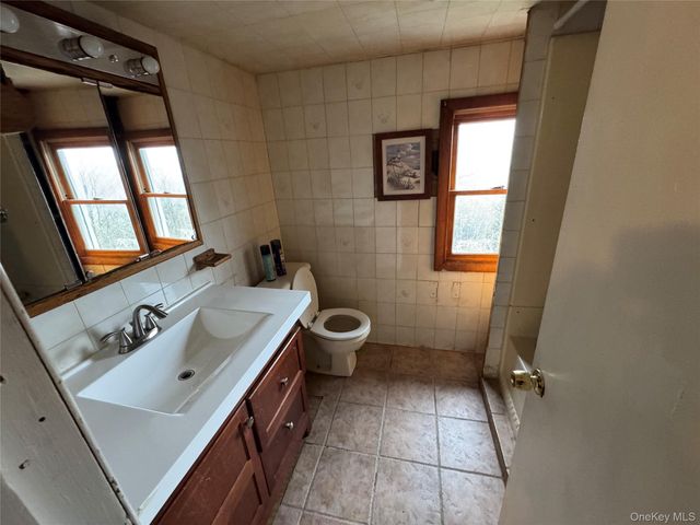 96 White Roe Lake Road, Livingston Manor, NY 12758