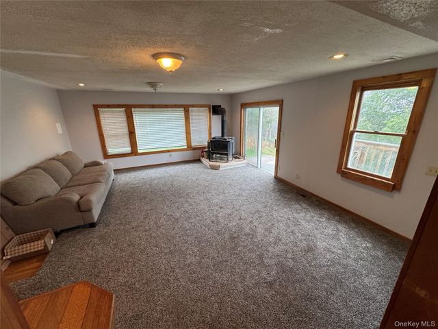 96 White Roe Lake Road, Livingston Manor, NY 12758