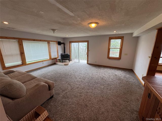 96 White Roe Lake Road, Livingston Manor, NY 12758
