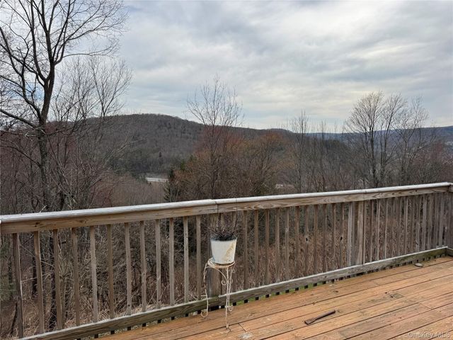 96 White Roe Lake Road, Livingston Manor, NY 12758