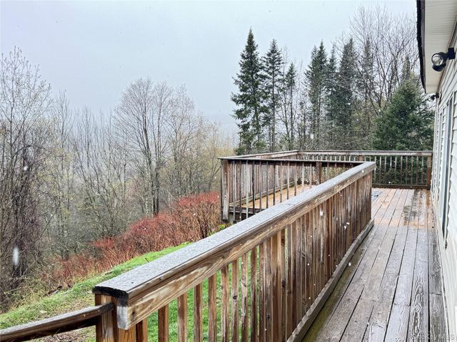 96 White Roe Lake Road, Livingston Manor, NY 12758