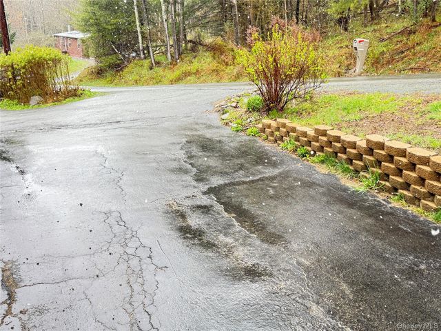 96 White Roe Lake Road, Livingston Manor, NY 12758