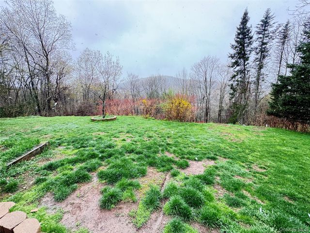 96 White Roe Lake Road, Livingston Manor, NY 12758