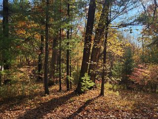 Crocker Road, Holton, MI 49425