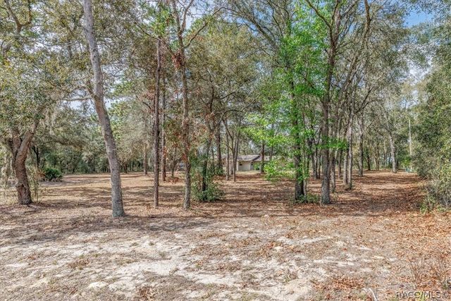 2180 N Trucks Avenue, Hernando, FL 34442