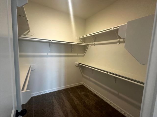 24223 Dewey Trail, Magnolia, TX 77355