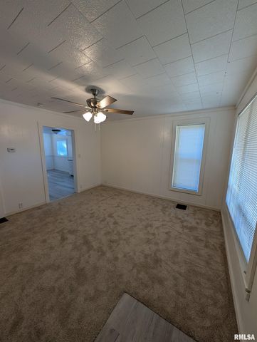 944 E WALNUT Avenue, Canton, IL 61520