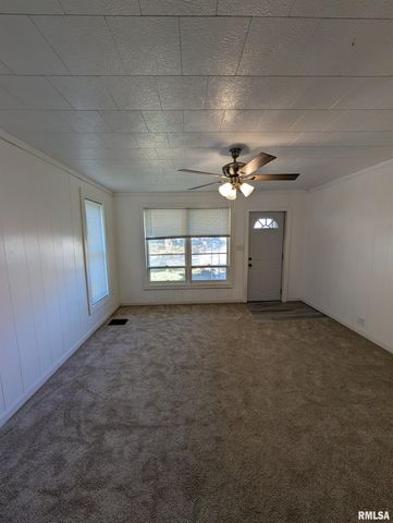 944 E WALNUT Avenue, Canton, IL 61520