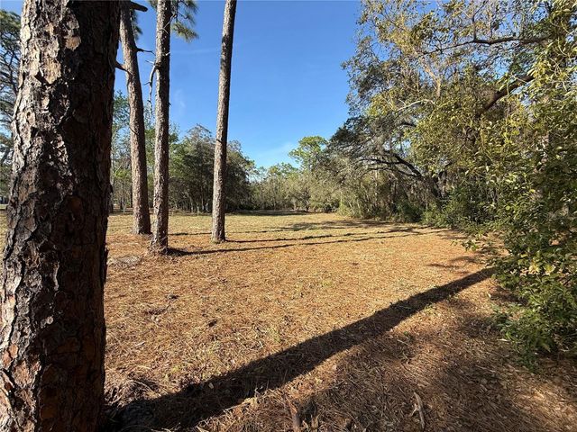 6479 W HOLIDAY STREET, Homosassa, FL 34446