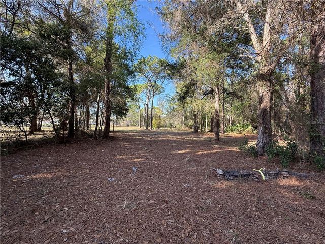 6479 W HOLIDAY STREET, Homosassa, FL 34446