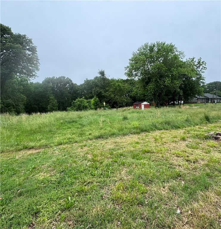781 Hallack Lane, Pea Ridge, AR 72751
