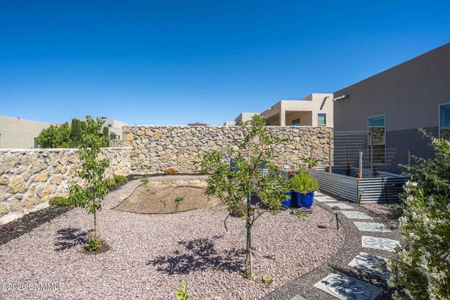 3033 Doug Rains Street, Las Cruces, NM 88011