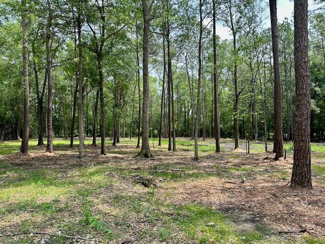 10460 Sweetgum Lane, Lumberton, TX 77657