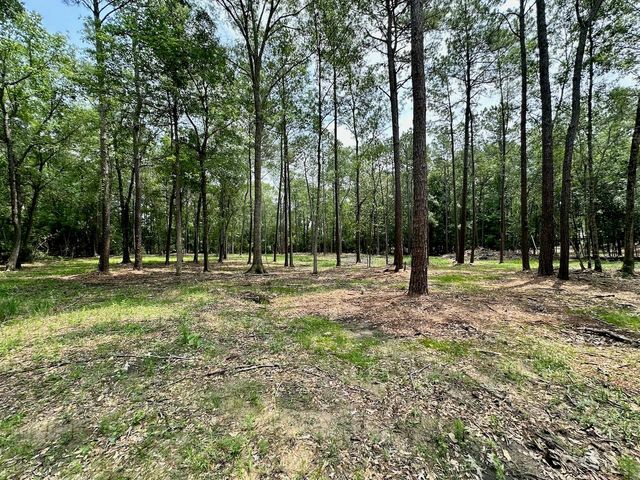 10460 Sweetgum Lane, Lumberton, TX 77657