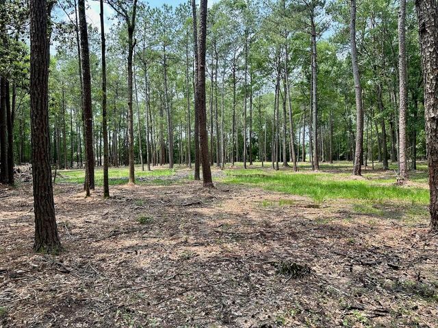 10460 Sweetgum Lane, Lumberton, TX 77657