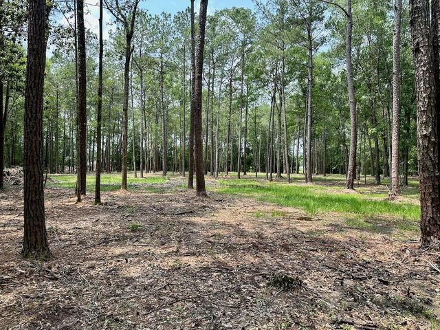 10460 Sweetgum Lane, Lumberton, TX 77657