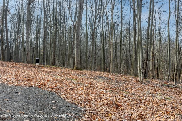 11550 Tamarack Trail, Bath, MI 48808