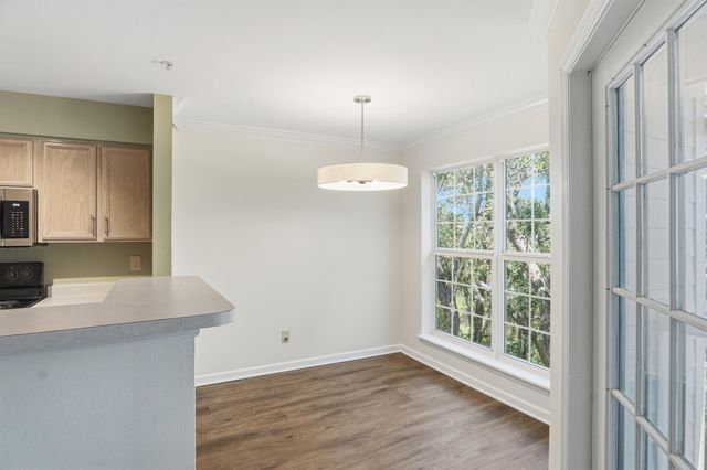 700 Daniel Ellis Drive Apt 11306, Charleston, SC 29412