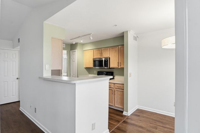 700 Daniel Ellis Drive Apt 11306, Charleston, SC 29412