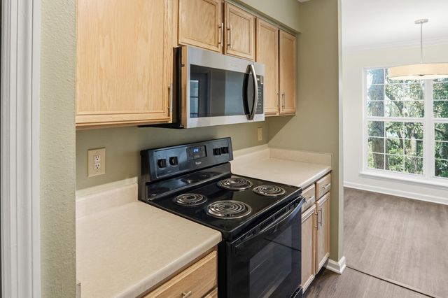 700 Daniel Ellis Drive Apt 11306, Charleston, SC 29412