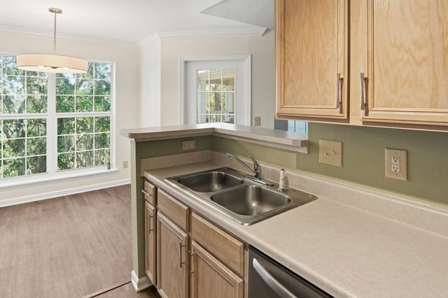 700 Daniel Ellis Drive Apt 11306, Charleston, SC 29412