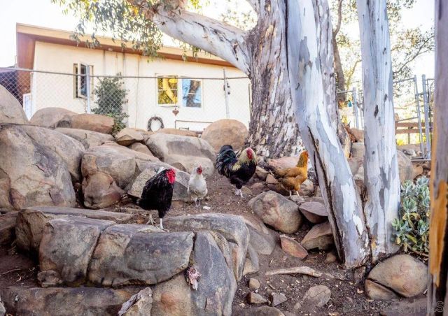 255 Hillside Place, El Cajon, CA 92021