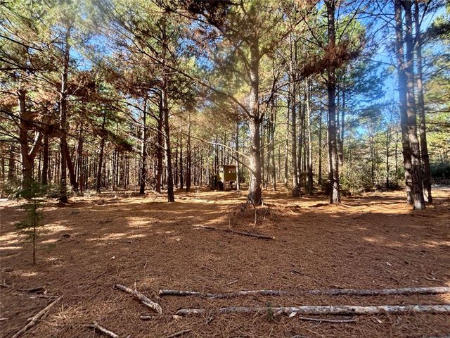 TBD Cr 300, Oakwood, TX 75855