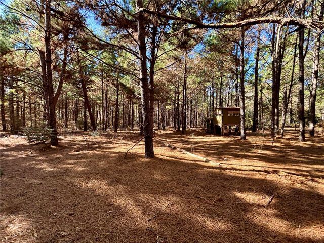 TBD Cr 300, Oakwood, TX 75855