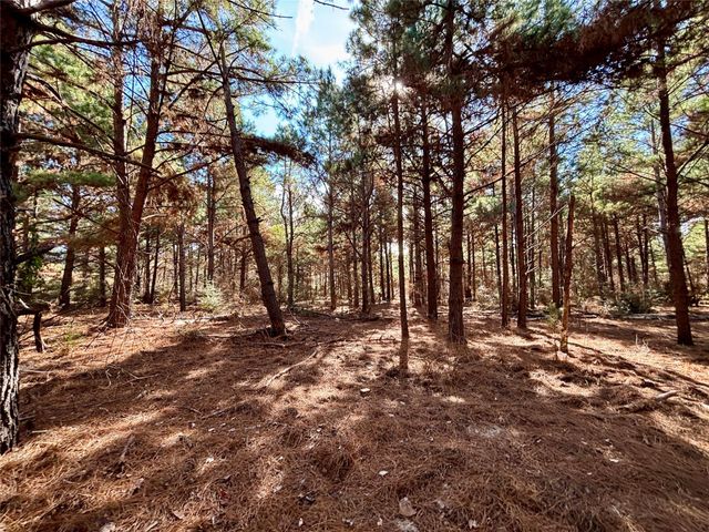 TBD Cr 300, Oakwood, TX 75855