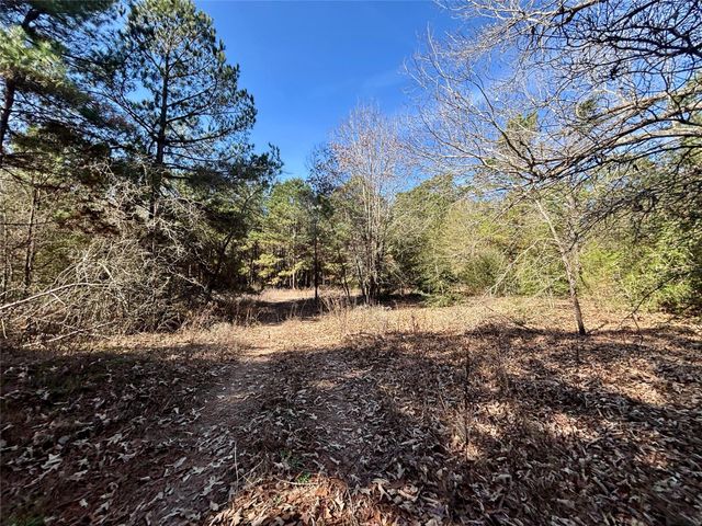 TBD Cr 300, Oakwood, TX 75855