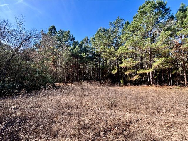 TBD Cr 300, Oakwood, TX 75855