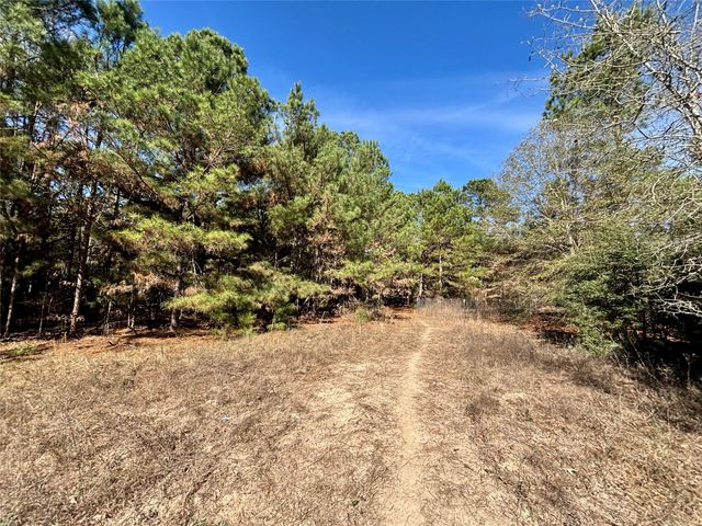 TBD Cr 300, Oakwood, TX 75855
