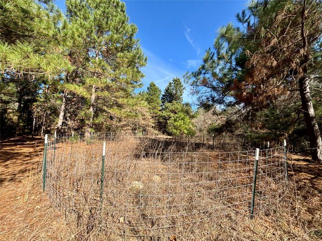 TBD Cr 300, Oakwood, TX 75855