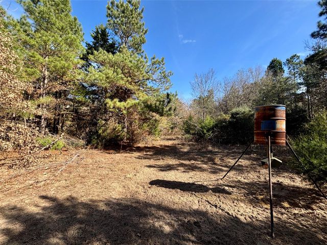 TBD Cr 300, Oakwood, TX 75855