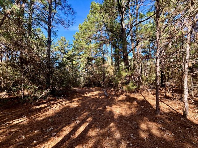 TBD Cr 300, Oakwood, TX 75855