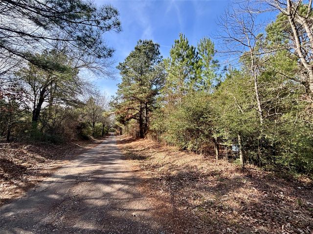 TBD Cr 300, Oakwood, TX 75855