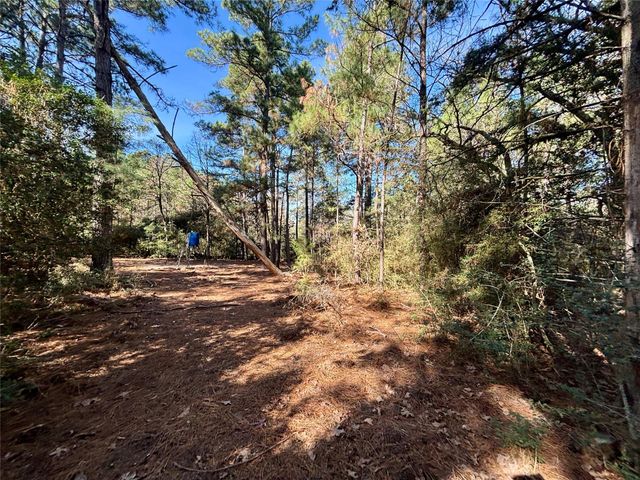 TBD Cr 300, Oakwood, TX 75855