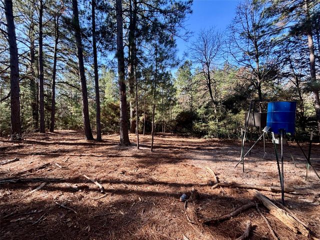 TBD Cr 300, Oakwood, TX 75855
