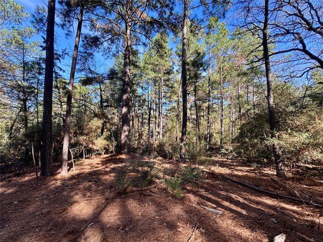 TBD Cr 300, Oakwood, TX 75855