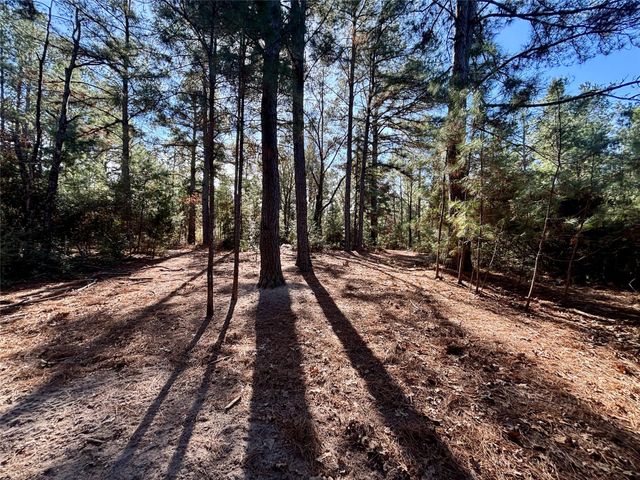 TBD Cr 300, Oakwood, TX 75855