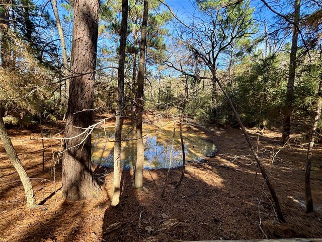 TBD Cr 300, Oakwood, TX 75855
