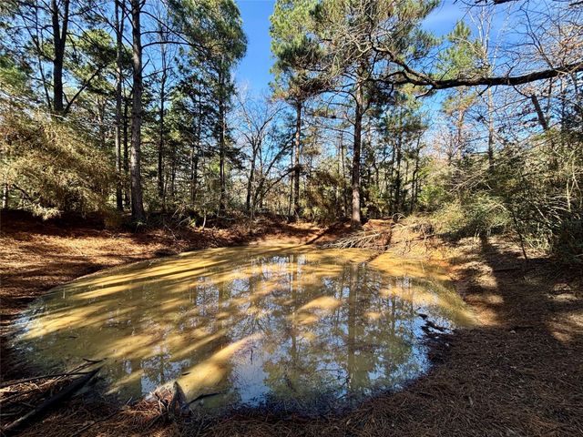 TBD Cr 300, Oakwood, TX 75855