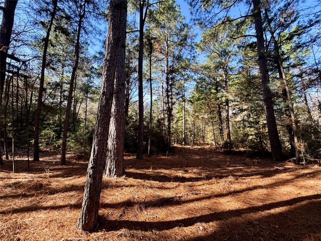 TBD Cr 300, Oakwood, TX 75855